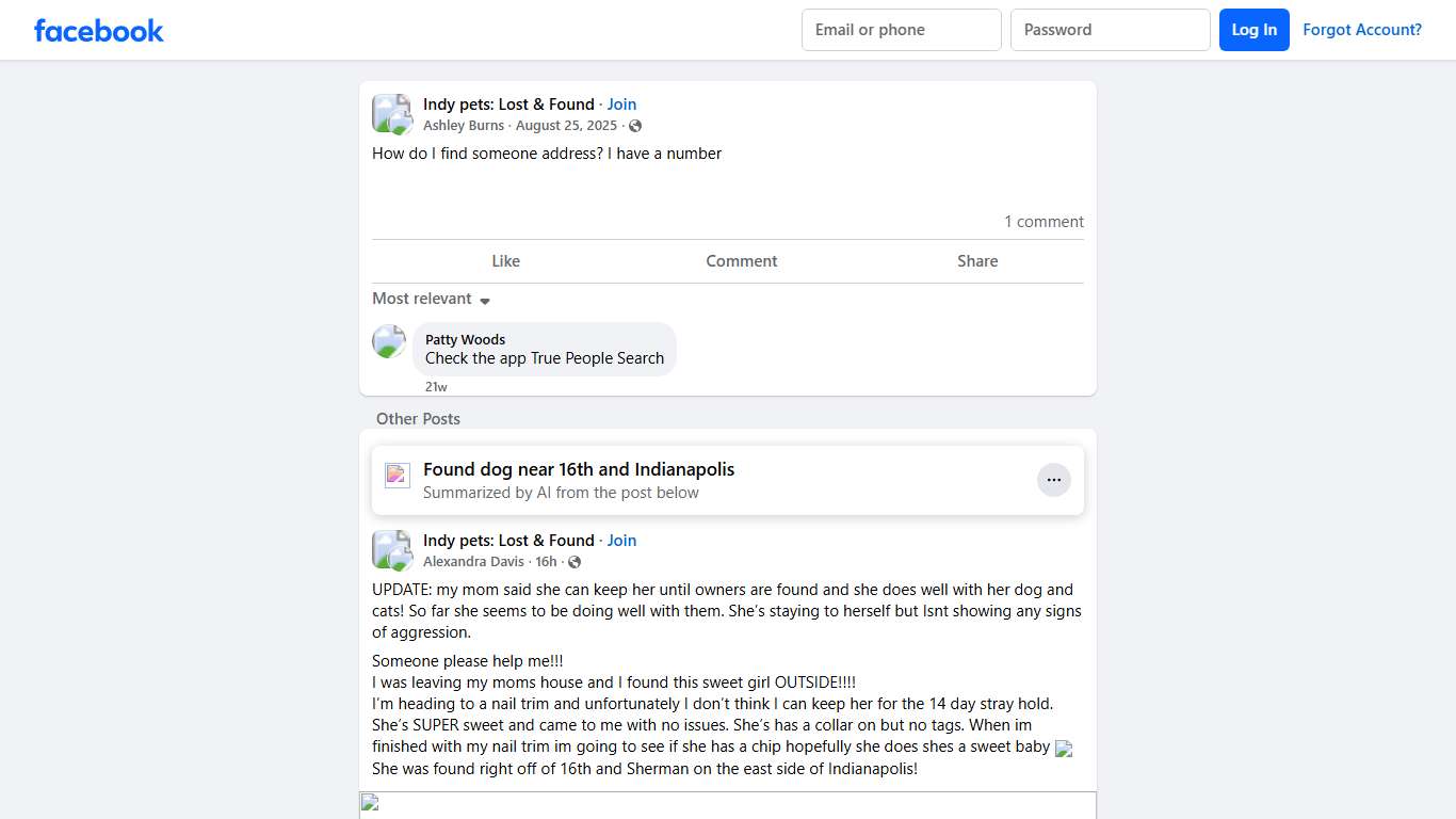 Indy pets: Lost & Found | How do I find someone address | Facebook